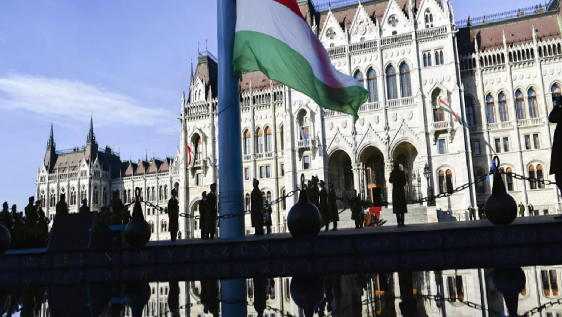Sırp Milletvekili Pavic: Macaristan ve Orban, AB ve Kiev’in hedefinde