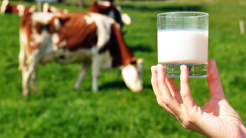 USK çiğ süt tavsiye satış fiyatını 2,08 TL artırdı