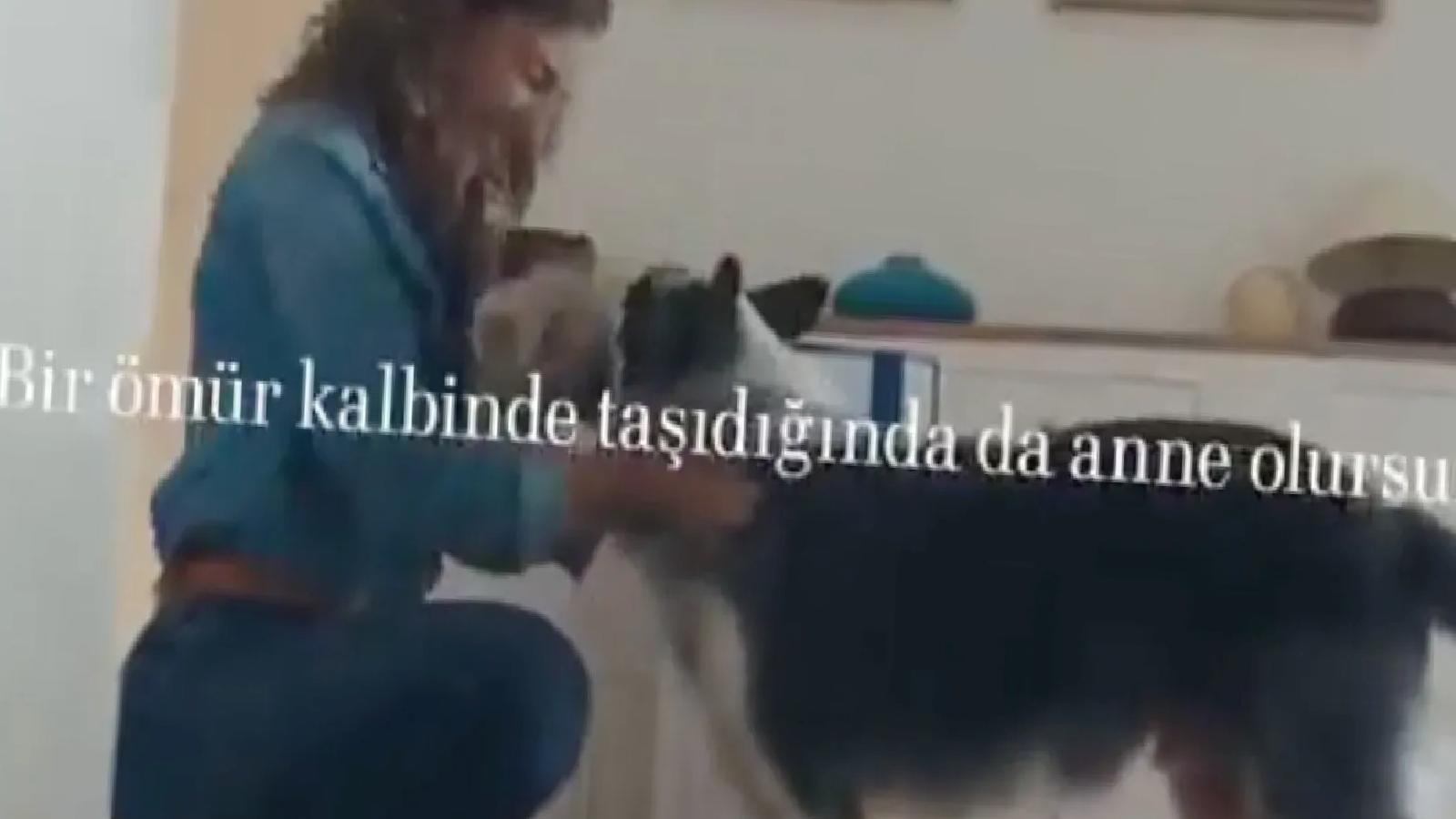 Ahmet Hakan: Bir reklam filminin gücü, tabii ki annelik müessesesini ortadan kaldırmaya yetmez