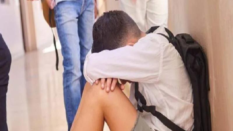 Akran zorbalığına karşı önleyici model: Dünya örnekleri Türkiye’ye uyarlanacak