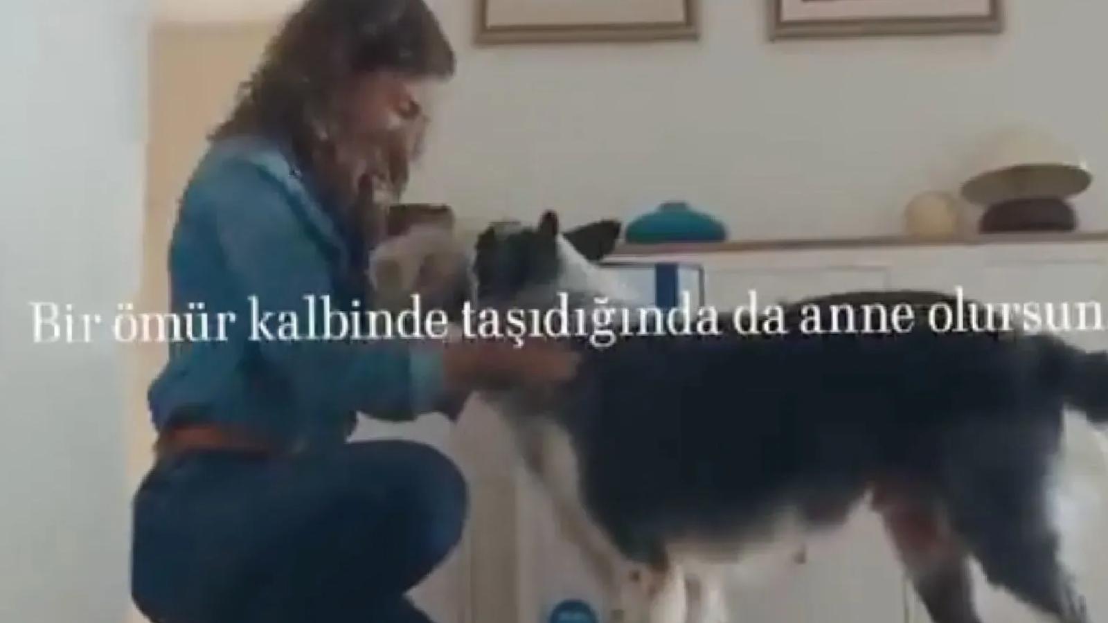 Ertuğrul Özkök: Sayın Aile Bakanı, size Kulaksız köyünden çok ciddi itiraz var