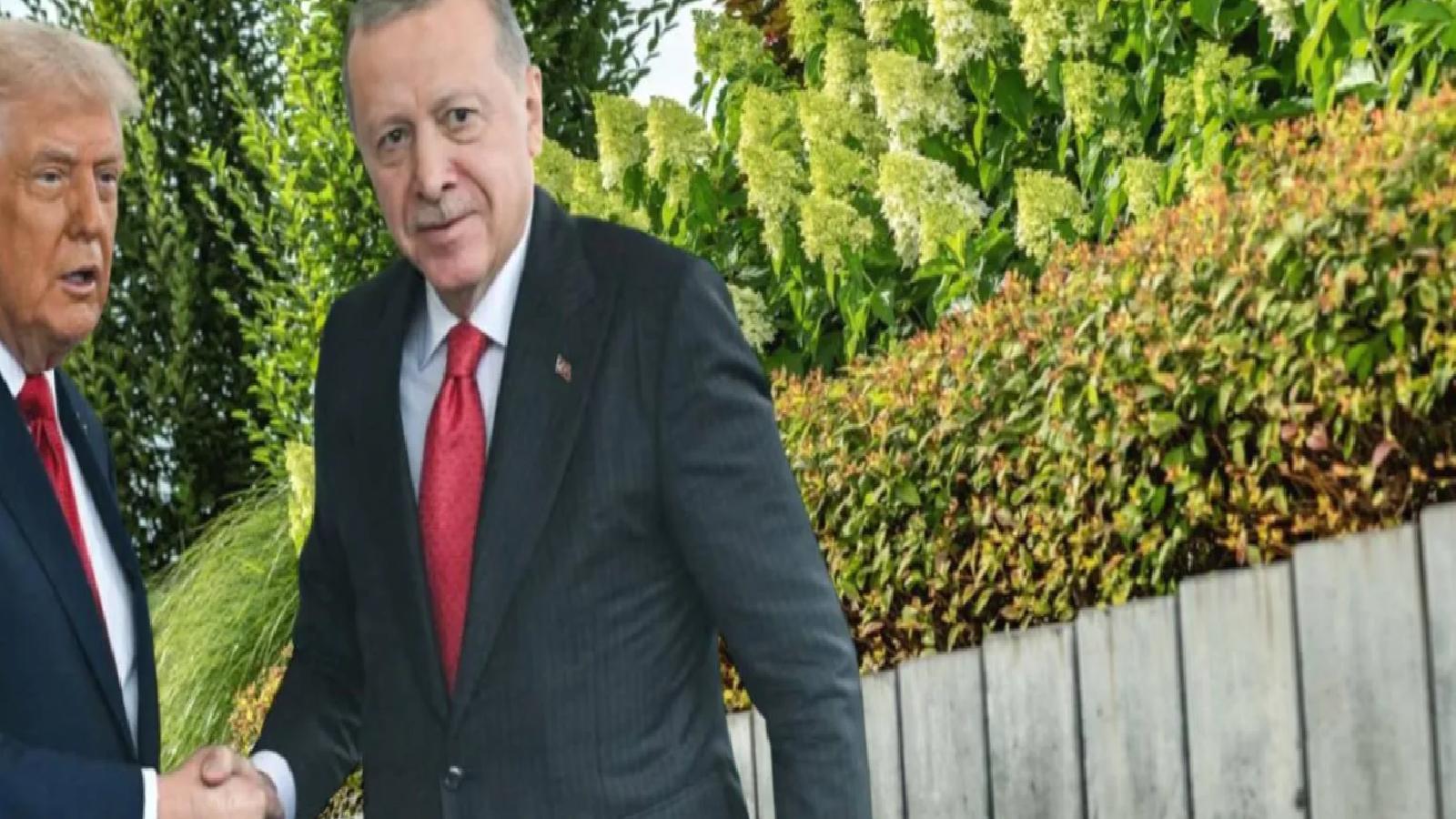 NATO Zirvesi hazırlıkları sürüyor: Ankara’da 70 milyon liralık dikey bahçe ihalesi