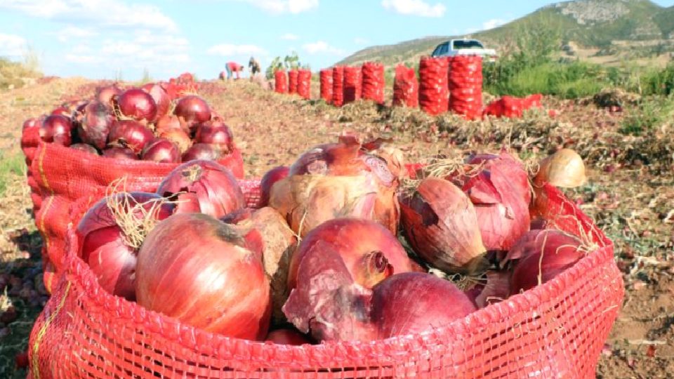 İstanbul’da fiyat artış şampiyonu kuru soğan