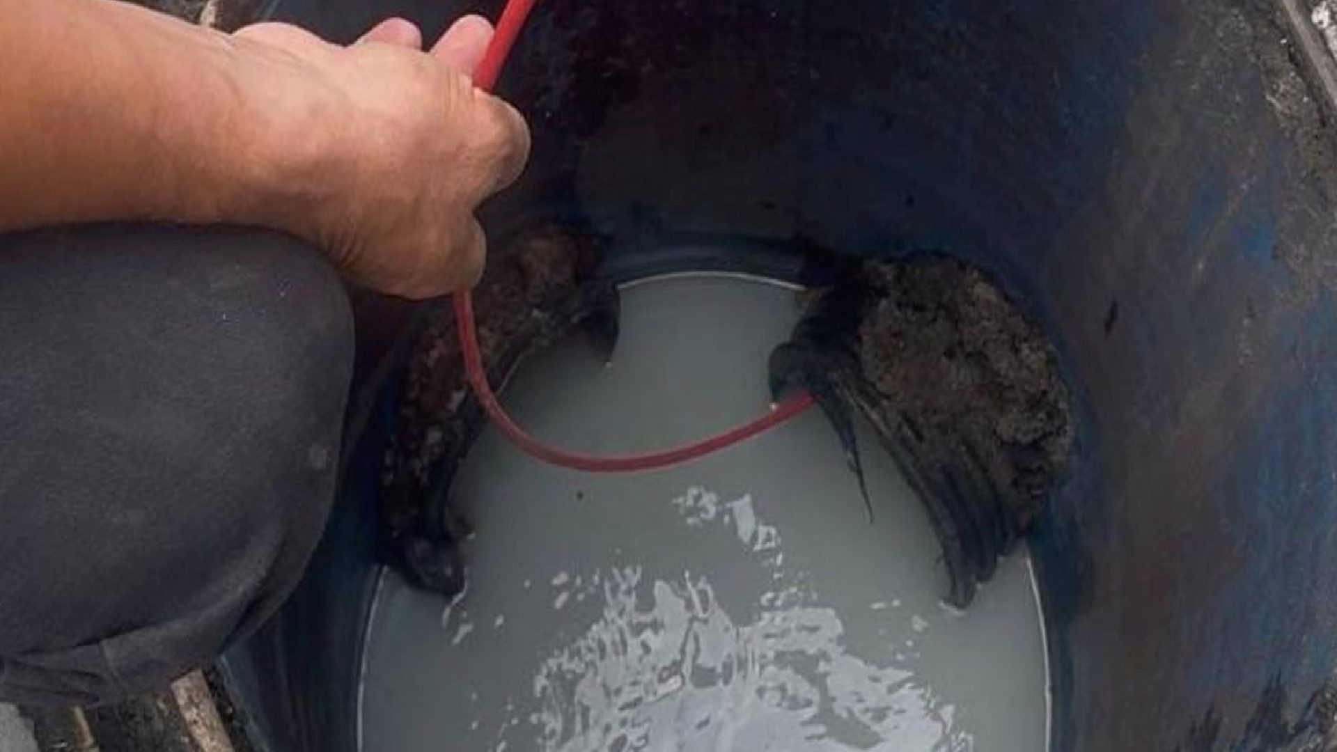 Peynir fabrikası kanalizasyona kaçak hat çekti: Fabrikaya 2 milyon TL ceza kesildi
