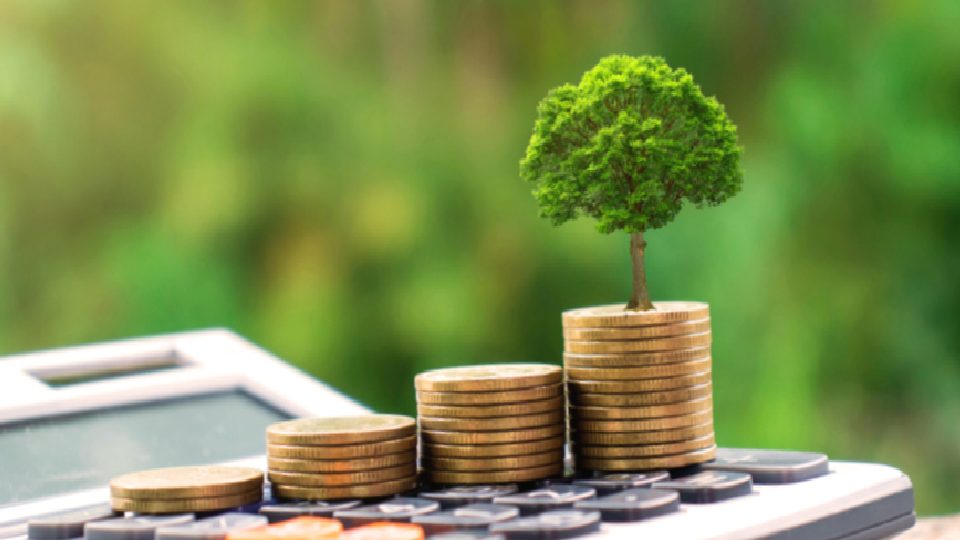 Yeşil Finans Stratejisi ve Eylem Planı yayımlandı