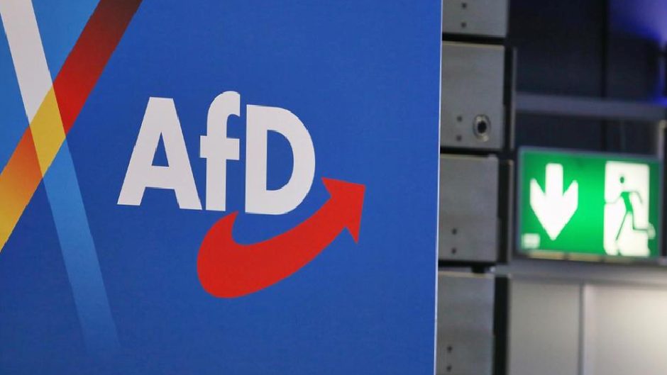 Alman hukukçulardan hükümete çağrı: AfD yasaklanmalı